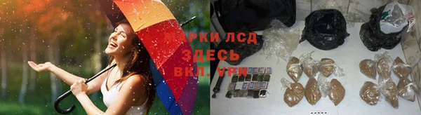 mdpv Иннополис