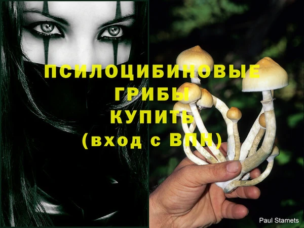 мяу мяу мука Михайловск