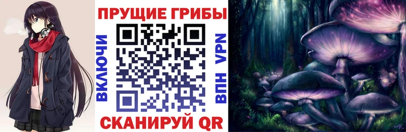 Псилоцибиновые грибы Psilocybe это наркотические препараты Заозёрный