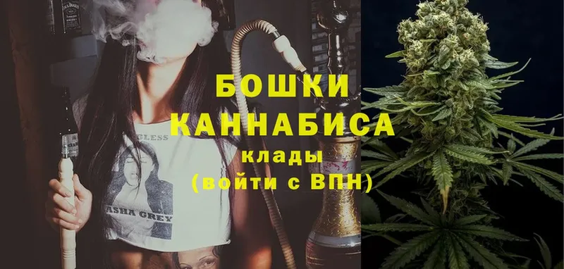 Бошки марихуана THC 21%  сколько стоит  Заозёрный 